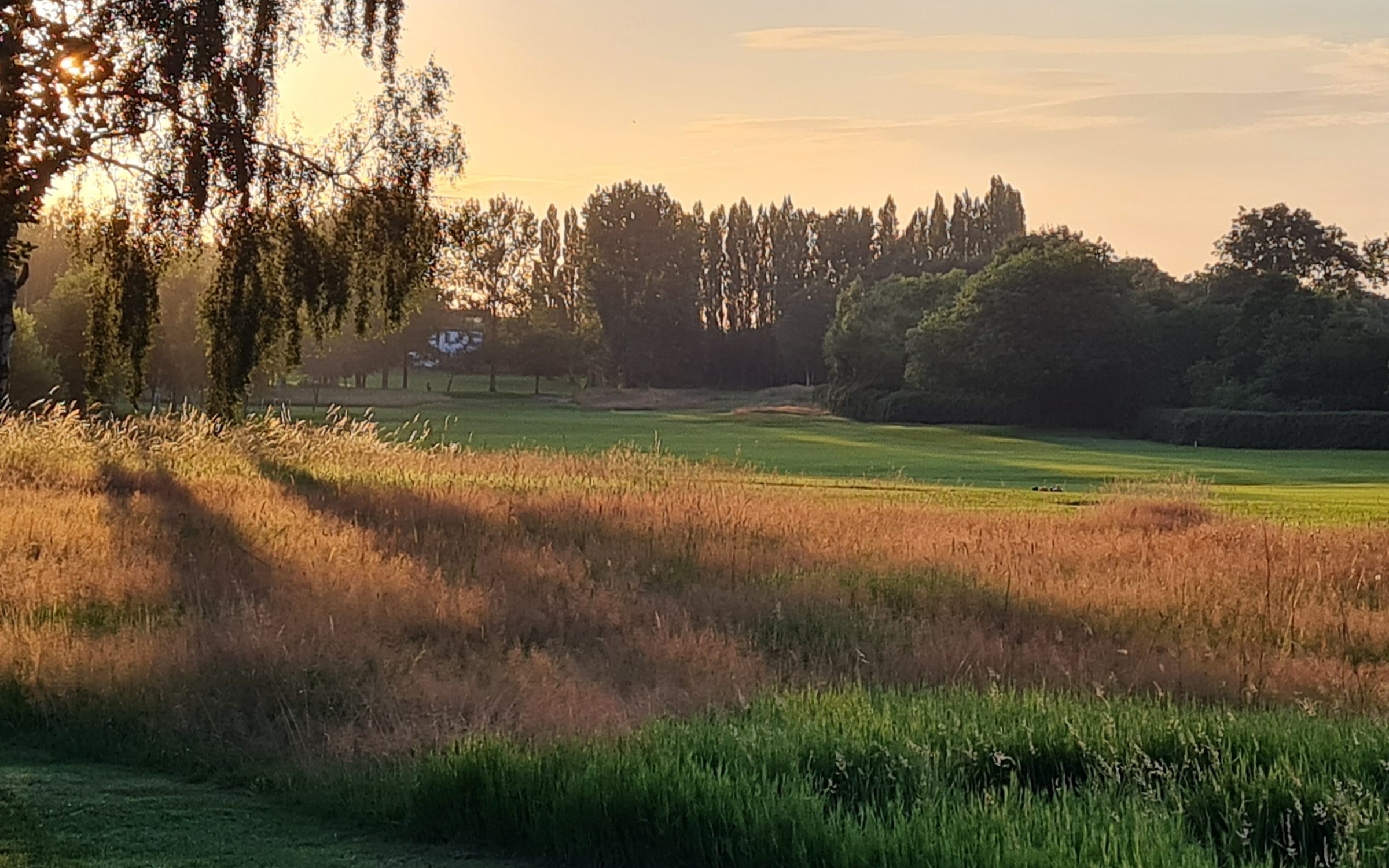 The course at sunrise